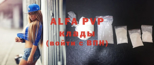 стаф Алексин