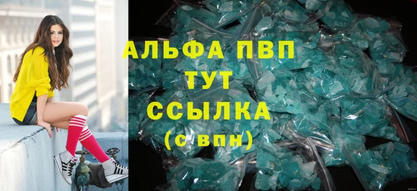 стаф Алексин