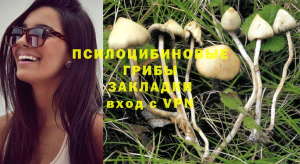 стаф Алексин