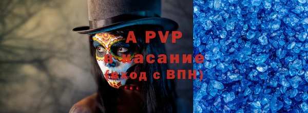 стаф Алексин