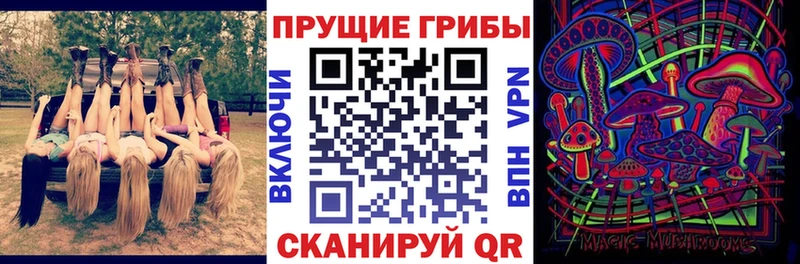 закладка  Камбарка  Галлюциногенные грибы Psilocybe 